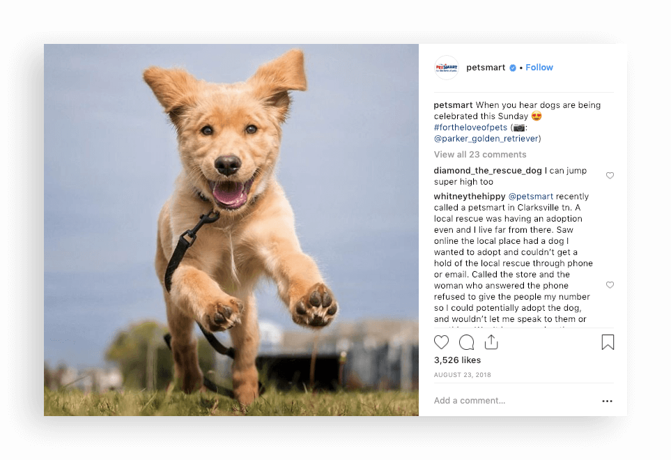 Rewards Case Study PetSmart's Treats